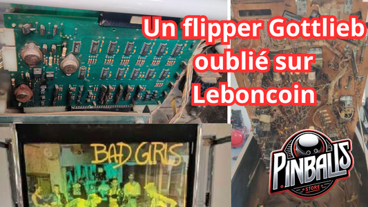 Gottlieb Bad Girls pinball machine bought for 800 euros
