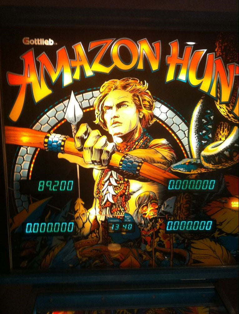 Amazon Hunt pinball machine