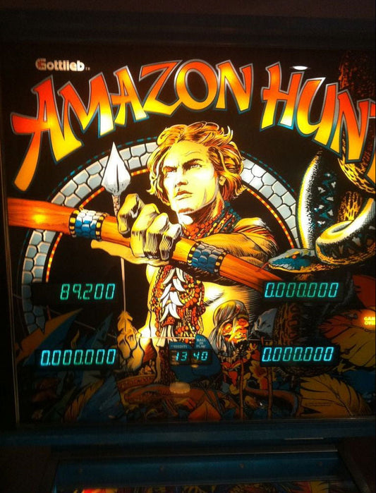 Amazon Hunt pinball machine