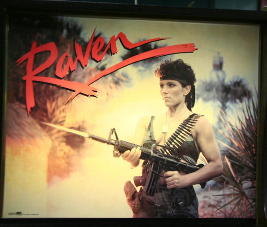 Raven pinball machine